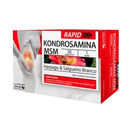 Kondrosamina MSM Rapid