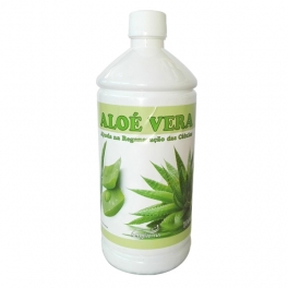 Aloe Vera Aloe Vera