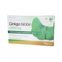 Ginkgo Biloba